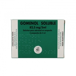 Gomenol soluble s aéros b/5amp/5ml