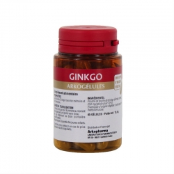 Arkopharma arkogélules ginkgo 45 gélules