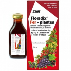 FLORADIX FER BOISSON FL/250ML