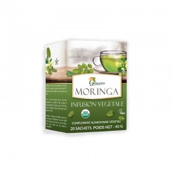 Moringa infusion végétale 20 sachets